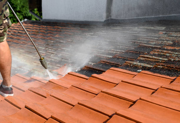 Best Residential Pressure Washing Services  in Fairbury, NE